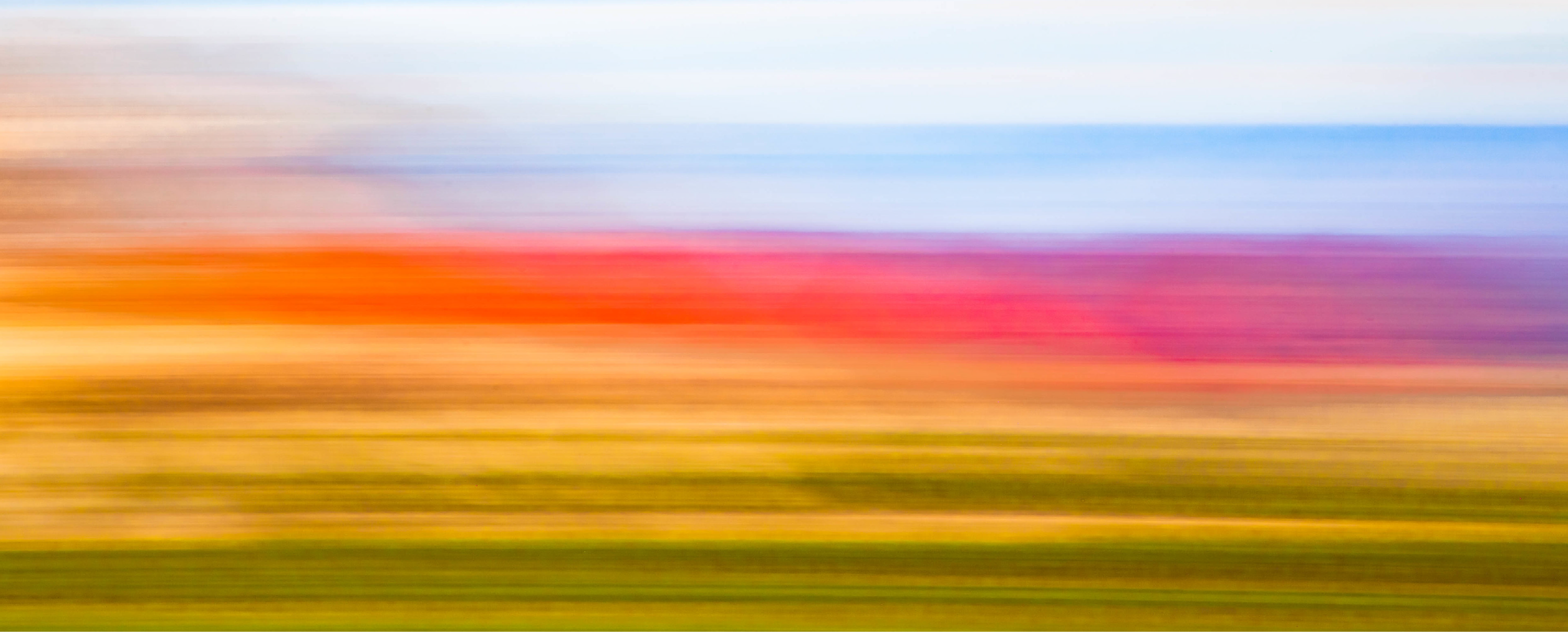 Judy Greavu and Steve Woodruff: "Beyond Nature's Realm: Eco Explorations"