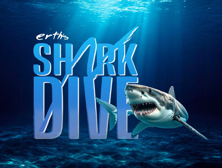 More Info for Erth's Shark Dive