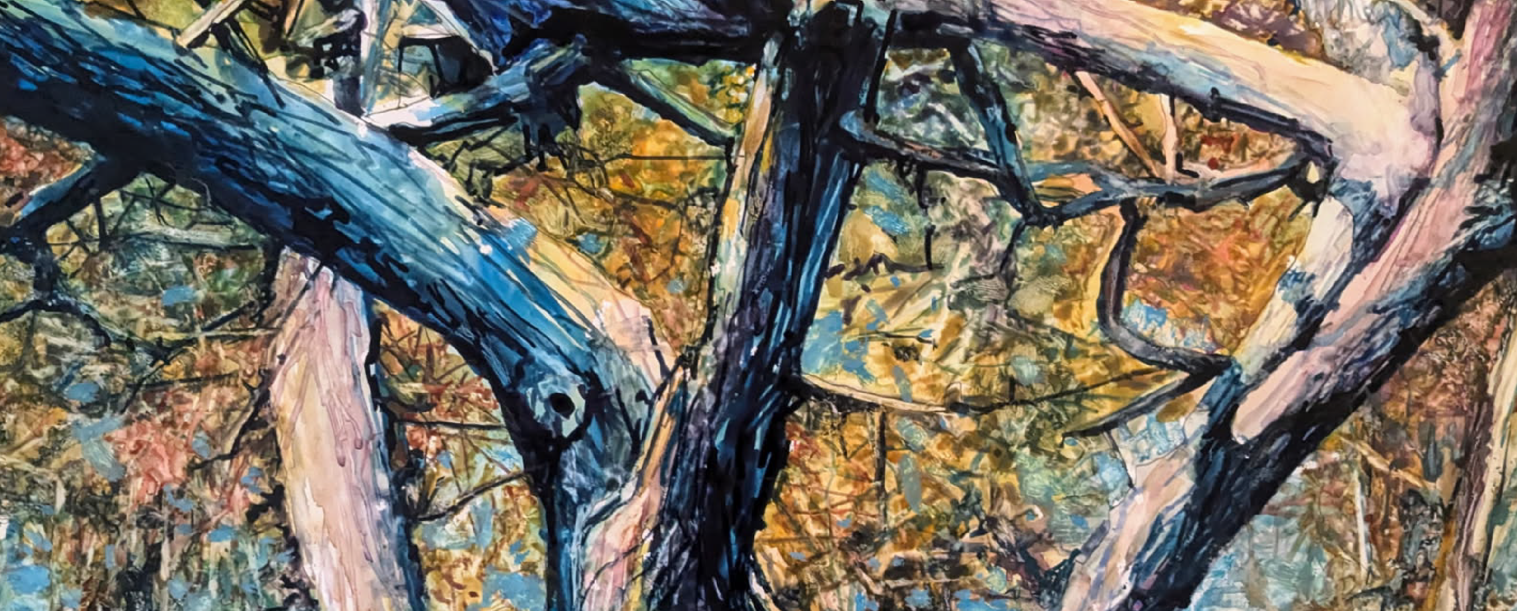 Dennis Zimmerman: Faces and Places